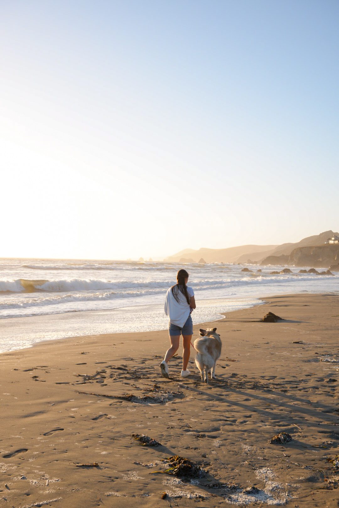 A woman and her dog walking along the beach
