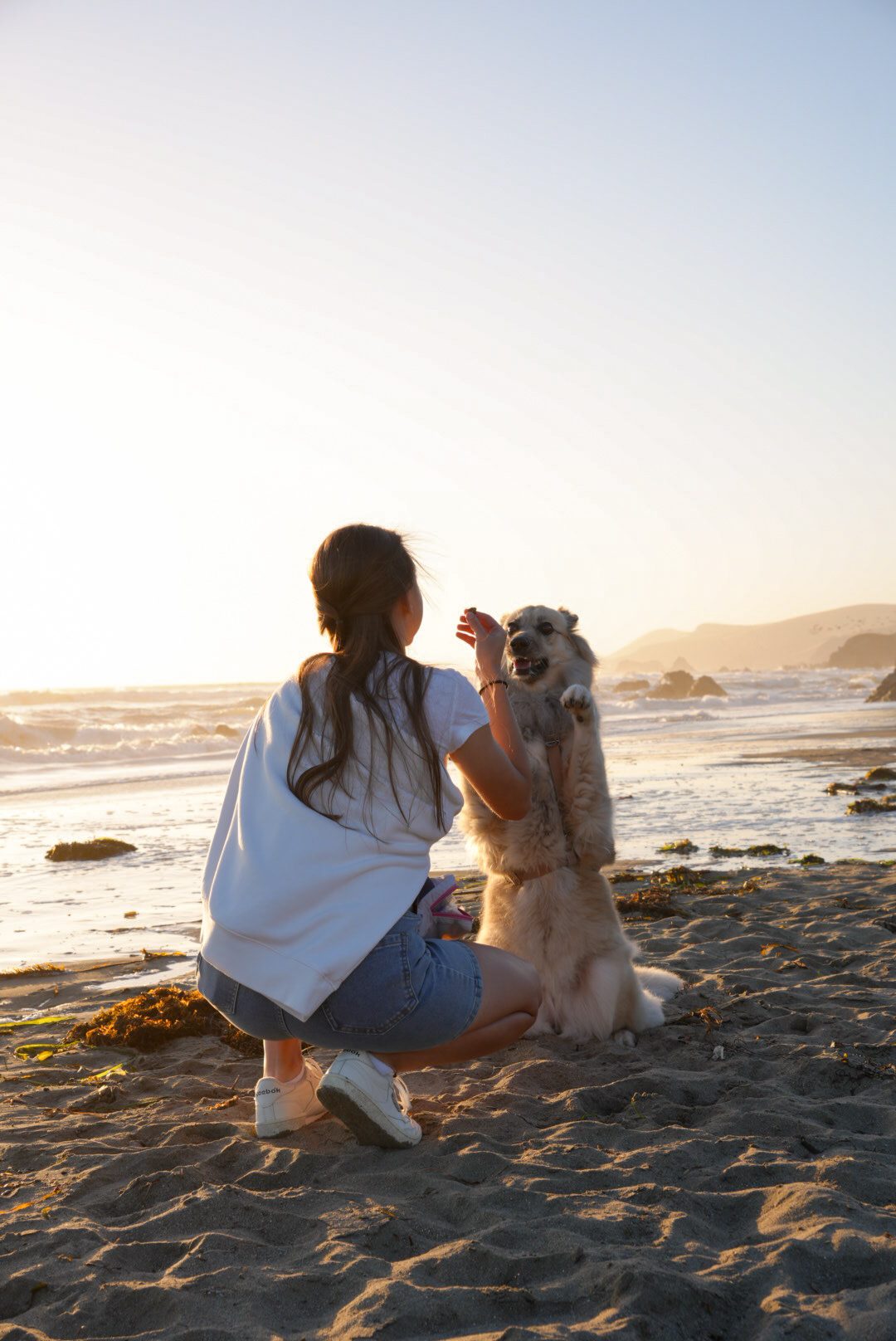 A woman kneeling with her dog by the ocean