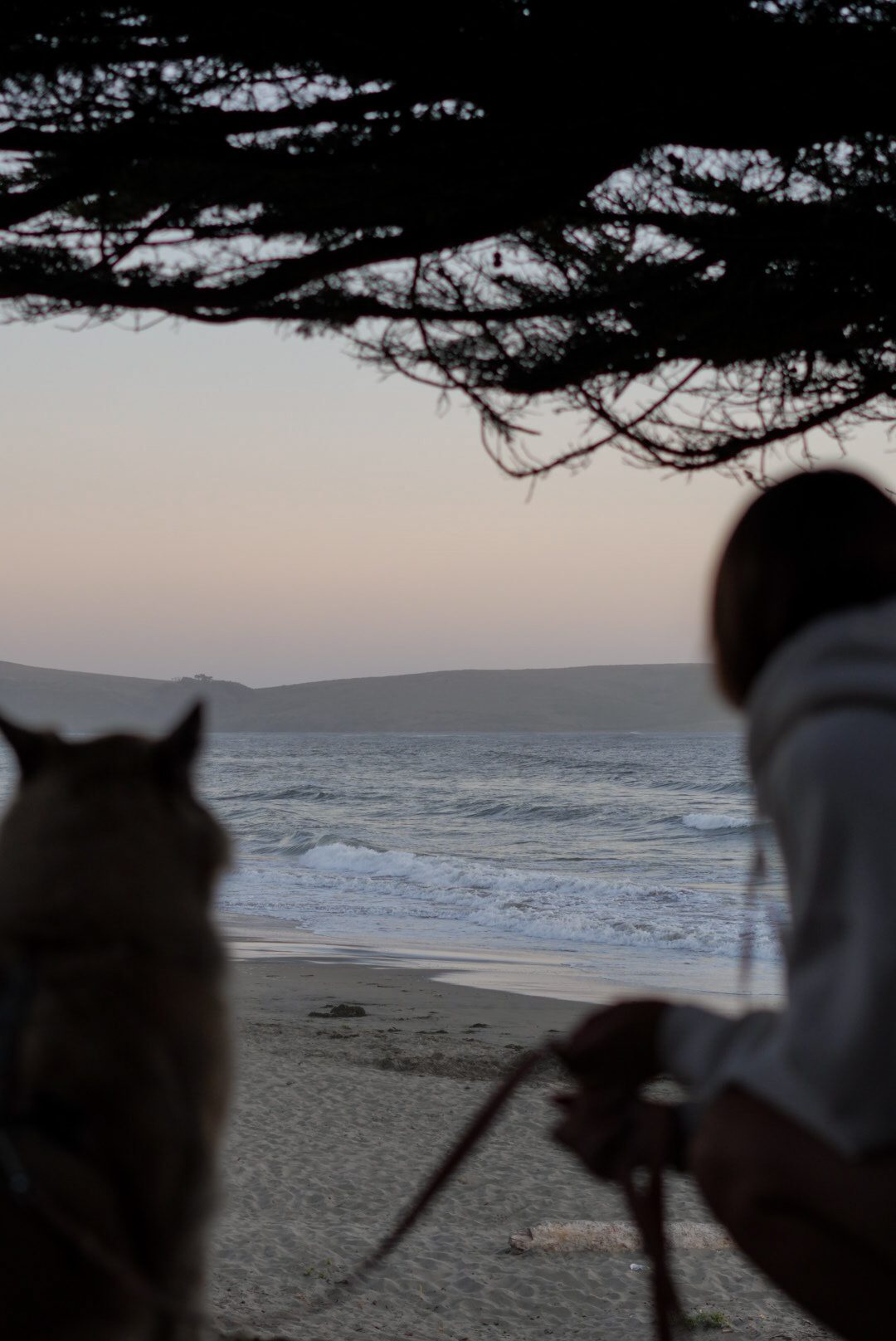 Black-and-white silhouette of a woman and her dog at dusk